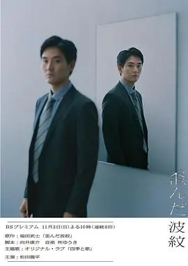 扭曲的波纹 海报