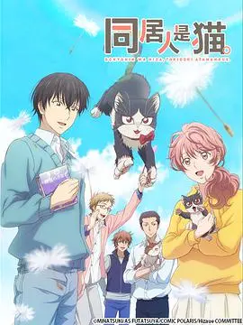 《同居人是猫》：笑到头掉！这猫真的不是在碰瓷？